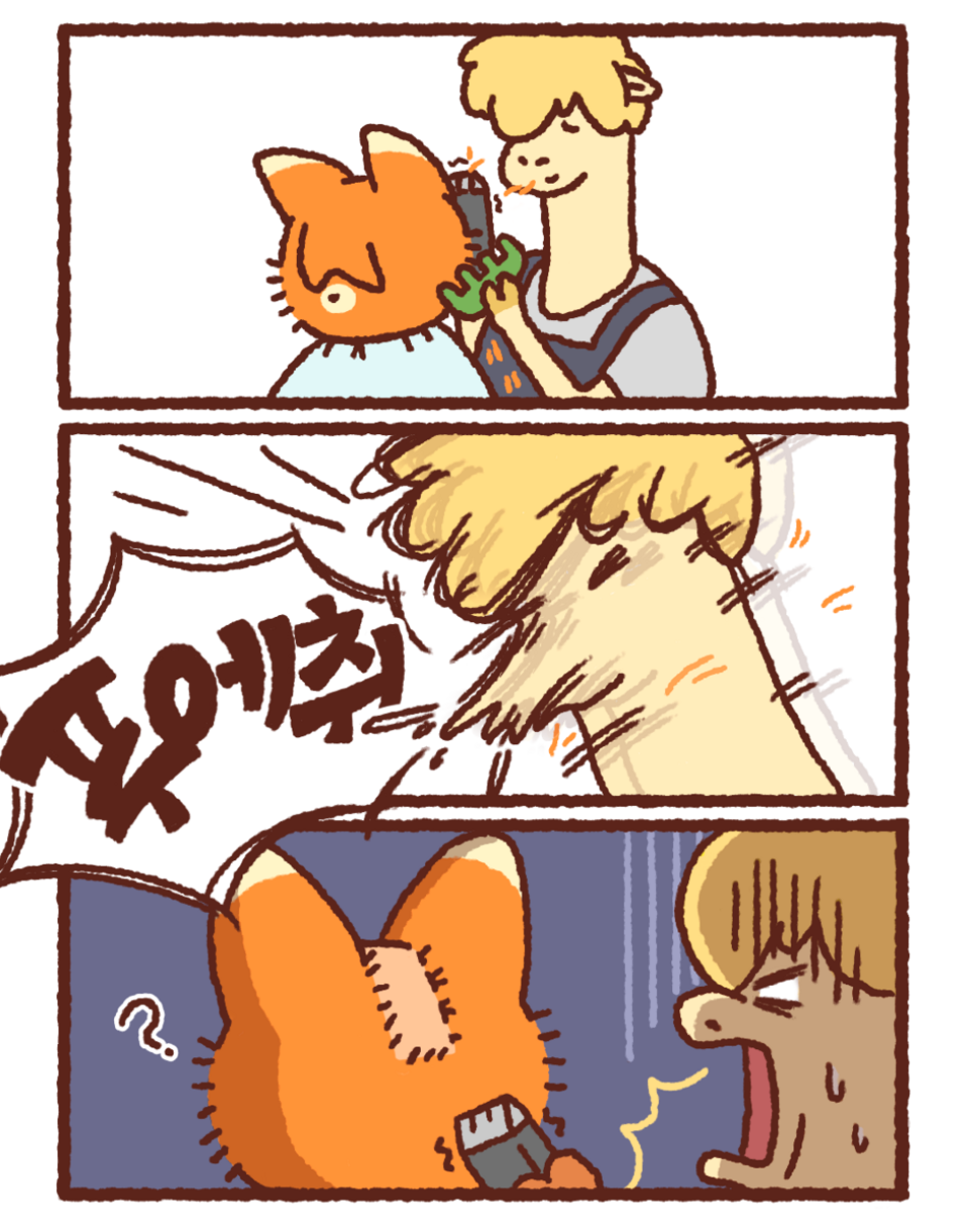 포이 sns 게시물 3